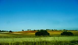 Picaderos en Albacete
