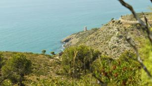 Picaderos en Castellón