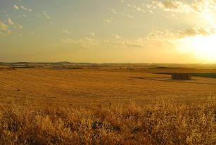Picaderos en Ciudad Real