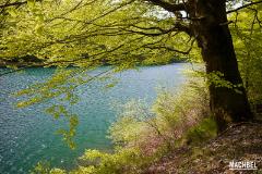 Picaderos en Navarra