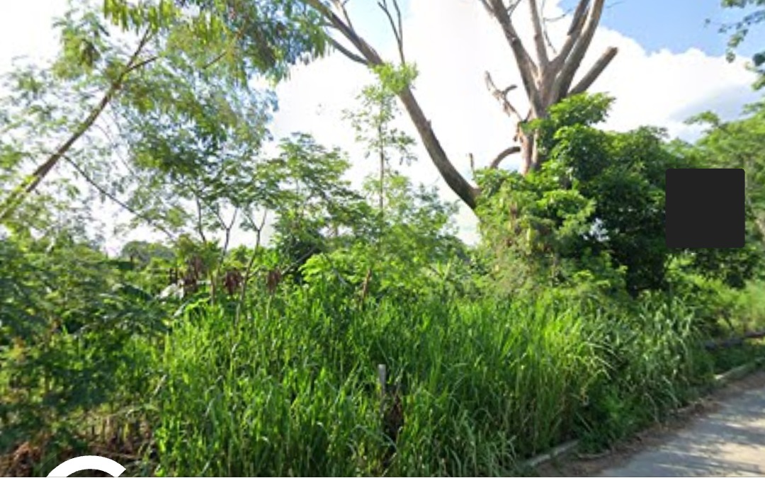 Entrada al tapao - Centro